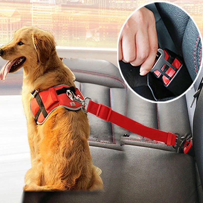 Pet Seat Safety Belt | Pet Traction Belt | Aliyya.Store